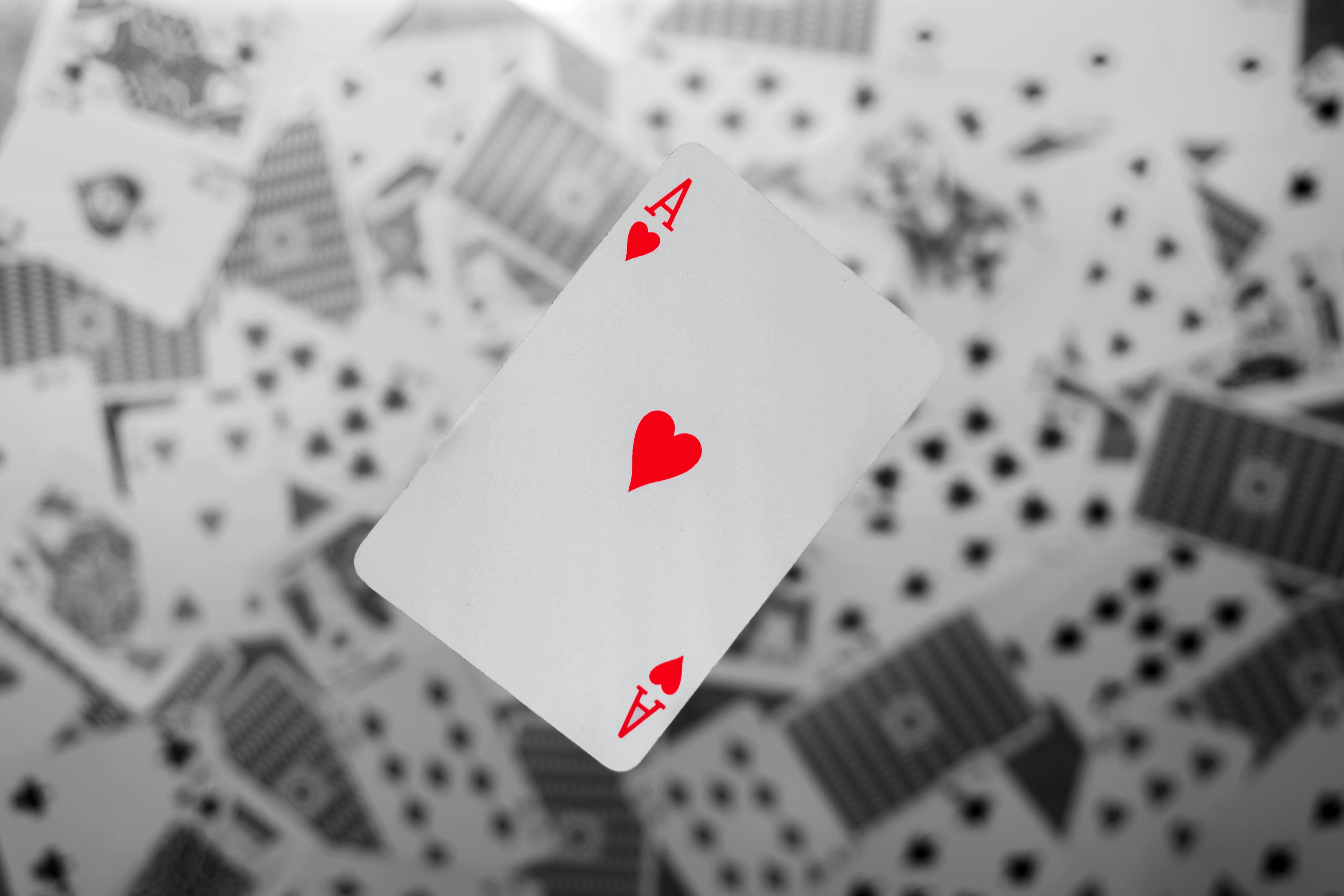 Amirali mirhashemian qp upuet86g unsplash
